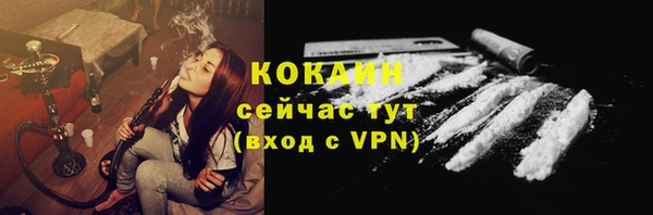 стаф Алзамай