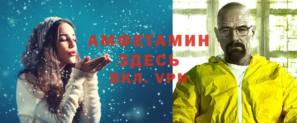 стаф Алзамай
