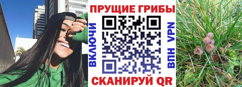 Галлюциногенные грибы мухоморы  купить наркотик  Плавск 